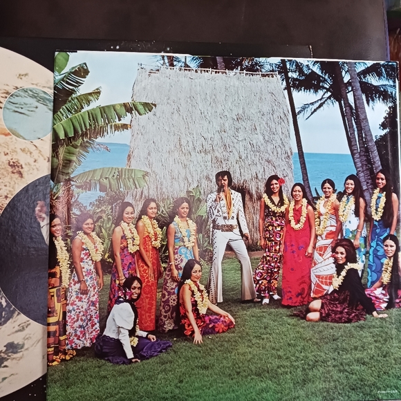 Elvis Album collection. Aloha Live from Hawaii 2 album set and The Sun Sessions - Picture 3 of 12